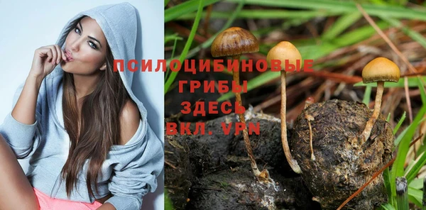 MDMA Premium VHQ Богданович
