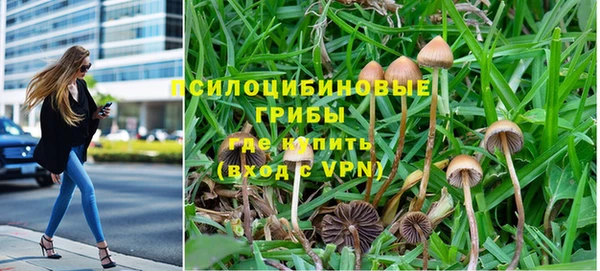 соль курить ск Богородск