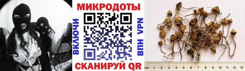 Псилоцибиновые грибы прущие грибы  наркотики  Волжский 